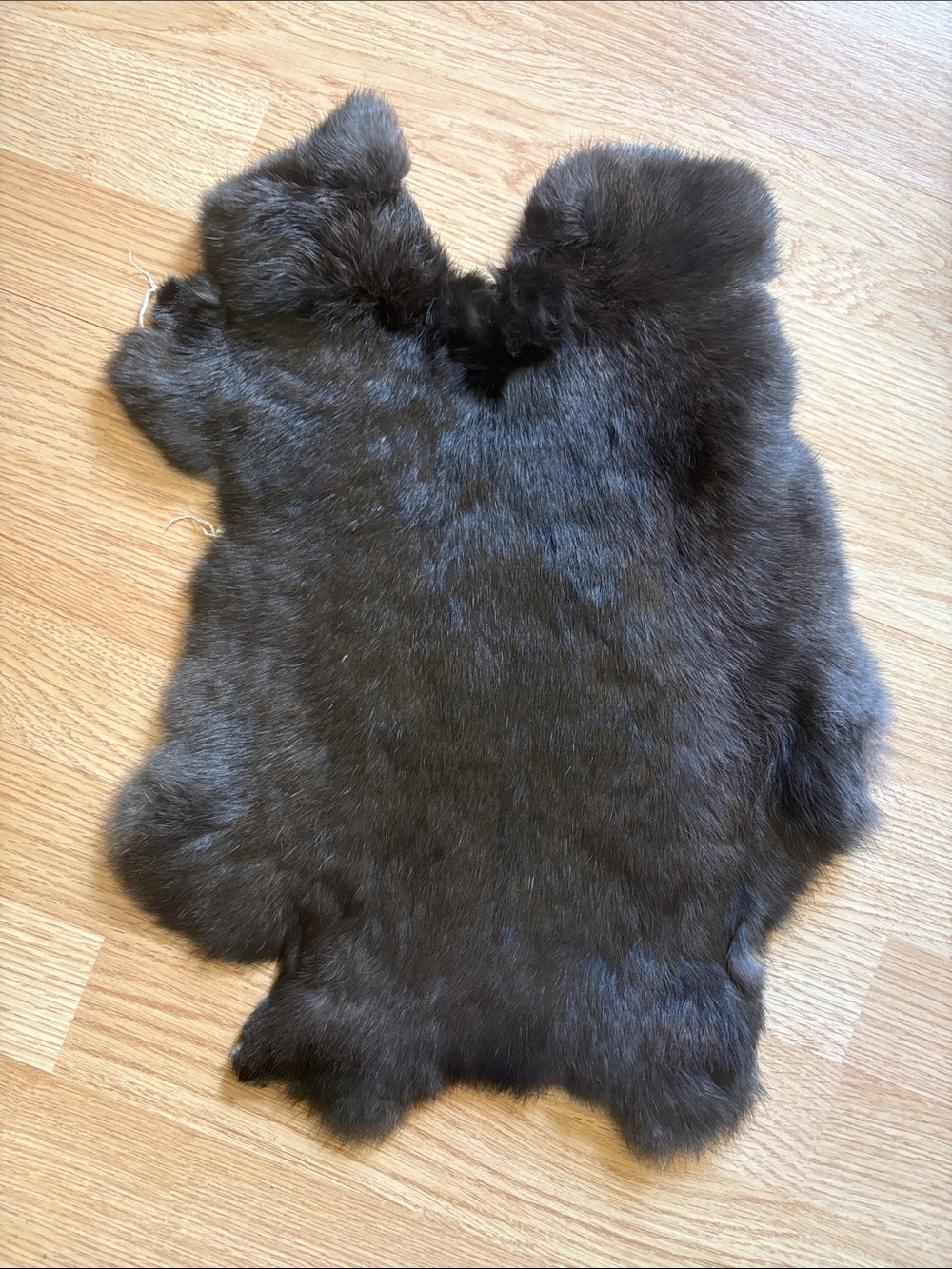 B0187 rabbit pelt